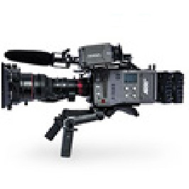 cameras-cat-image