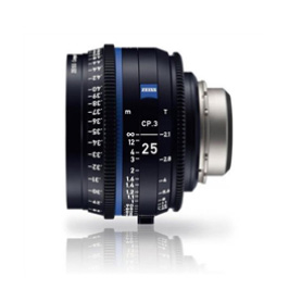 lenses-cat-image